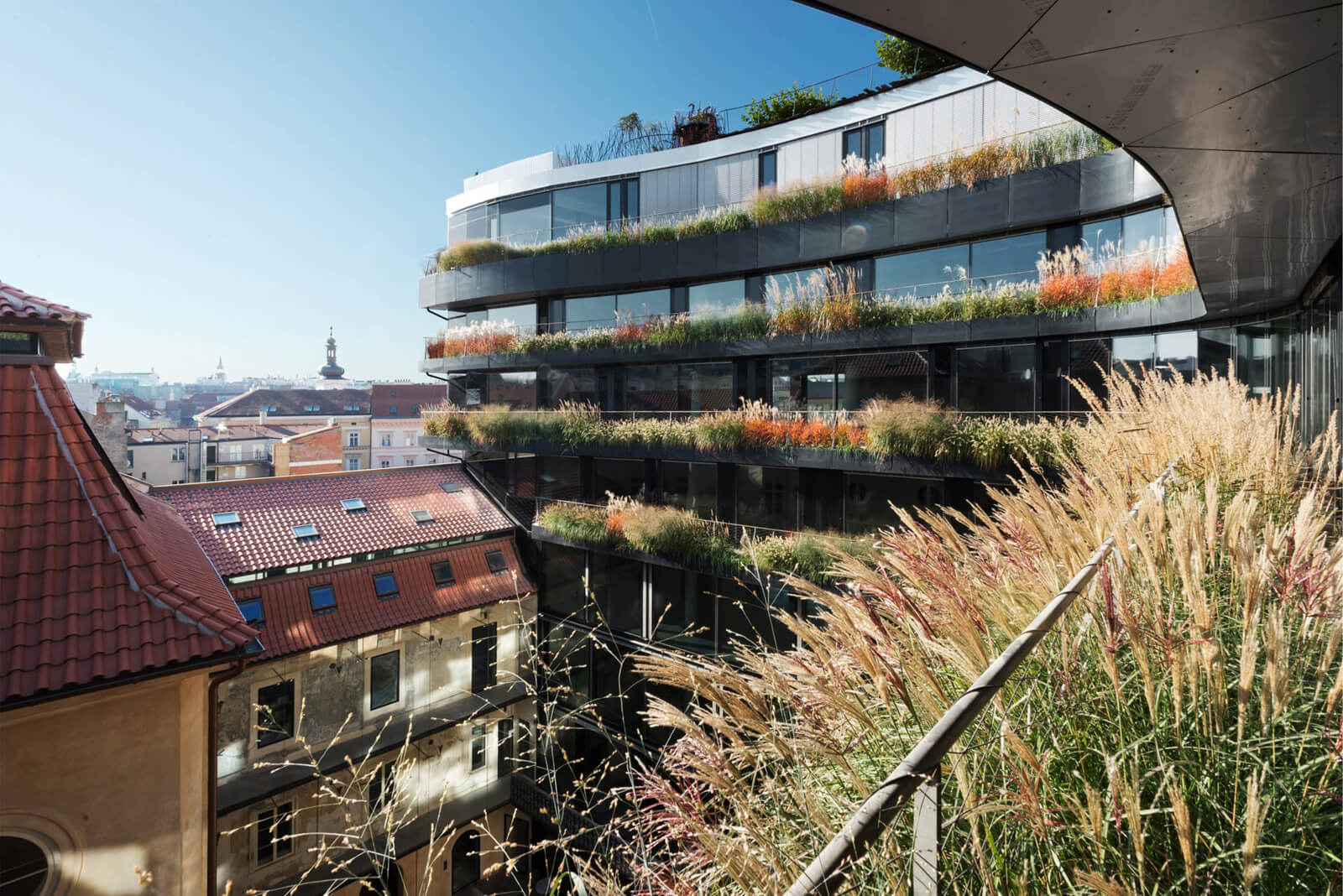 Grinity reference DRN Praha