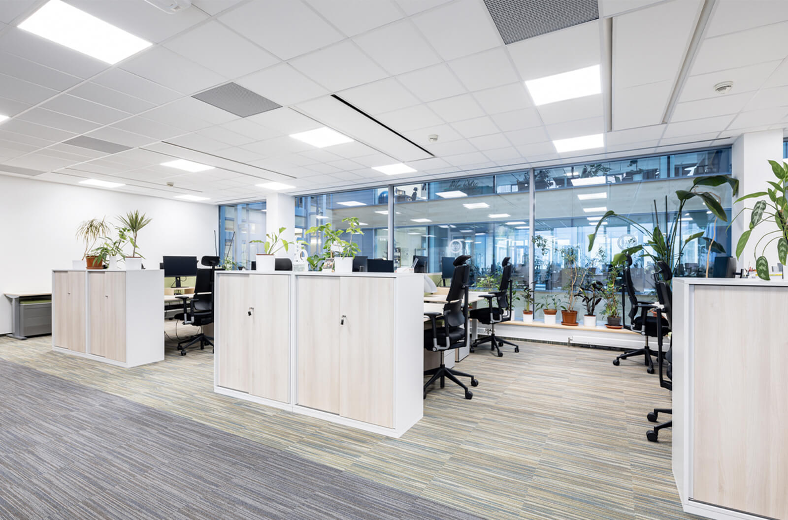 Cover image for WELL H-S Rating for Prague office.