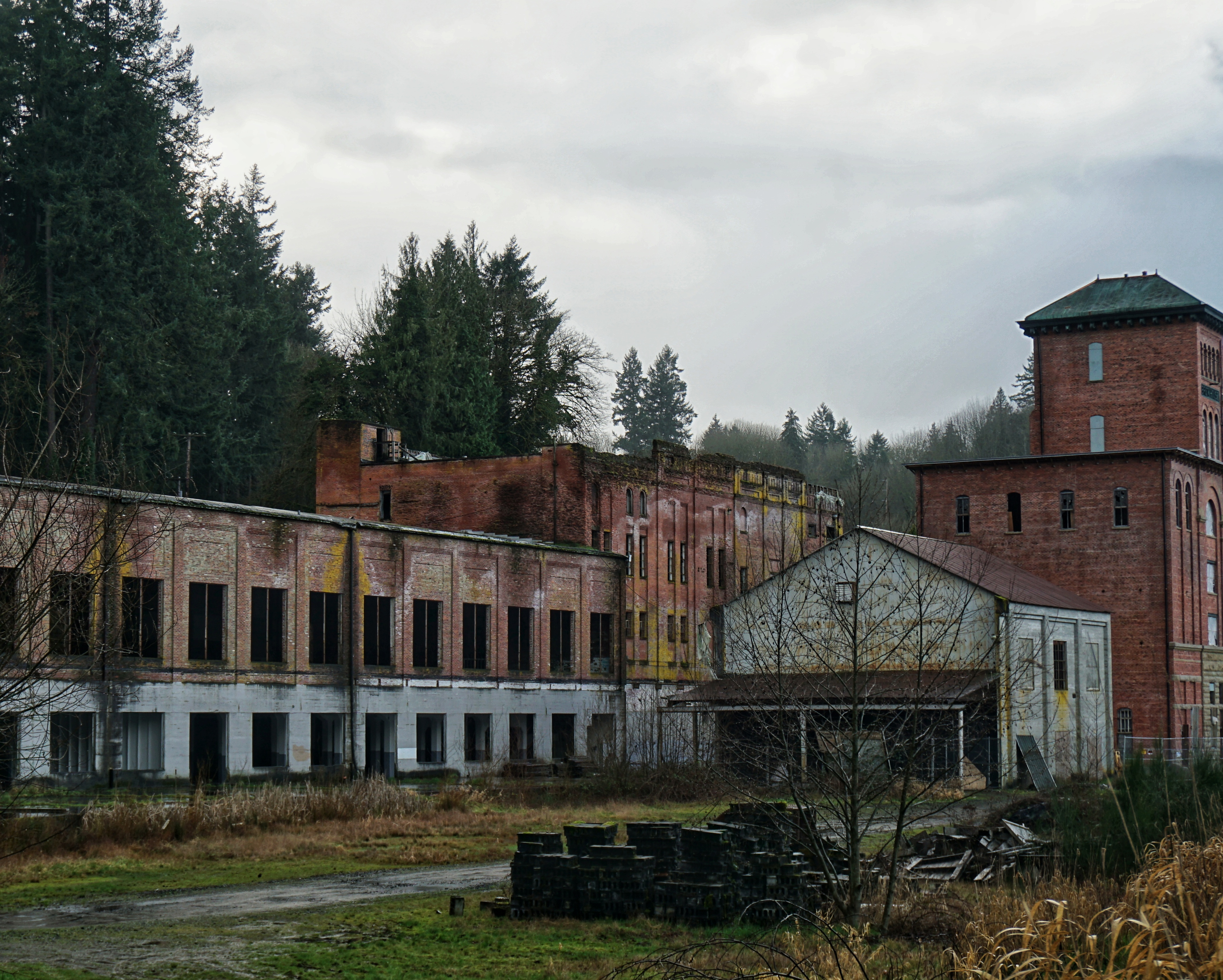 abandoned-brewery-building-by-trees-against-sky.jpg