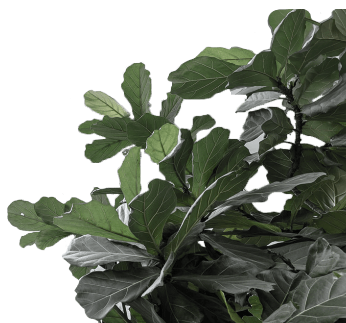 Grafický prvek znázorňující expertízu společnosti Grinity v technickém a environmentálním poradenství.