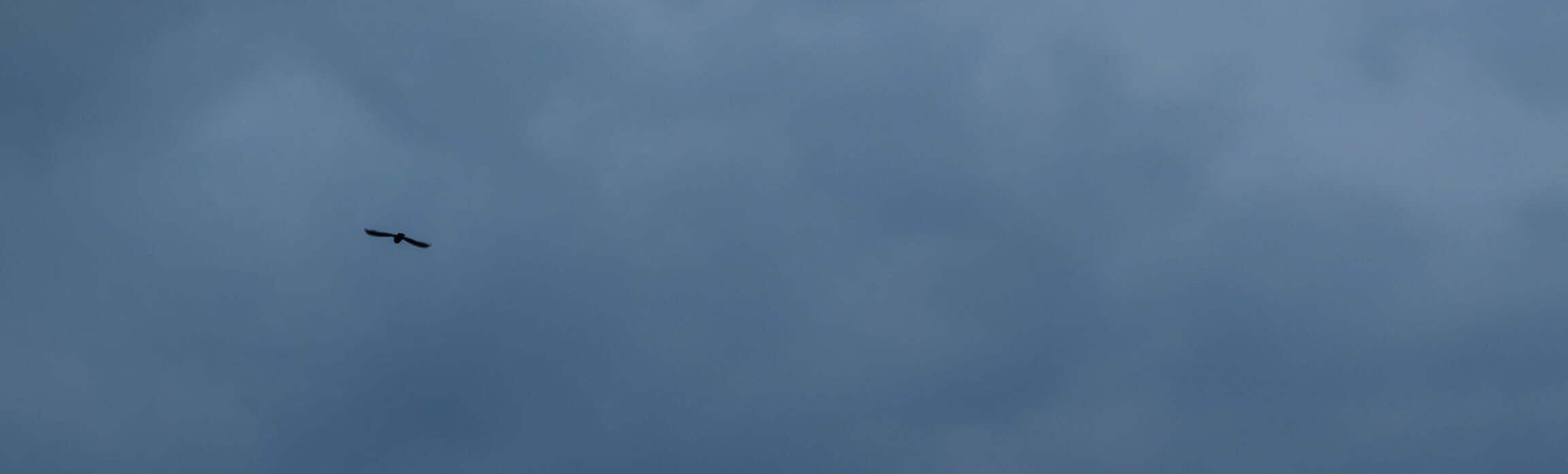 Fasáda moderní budovy mířící k nebi, symbolizující inovace a udržitelnost ve stavebnictví.